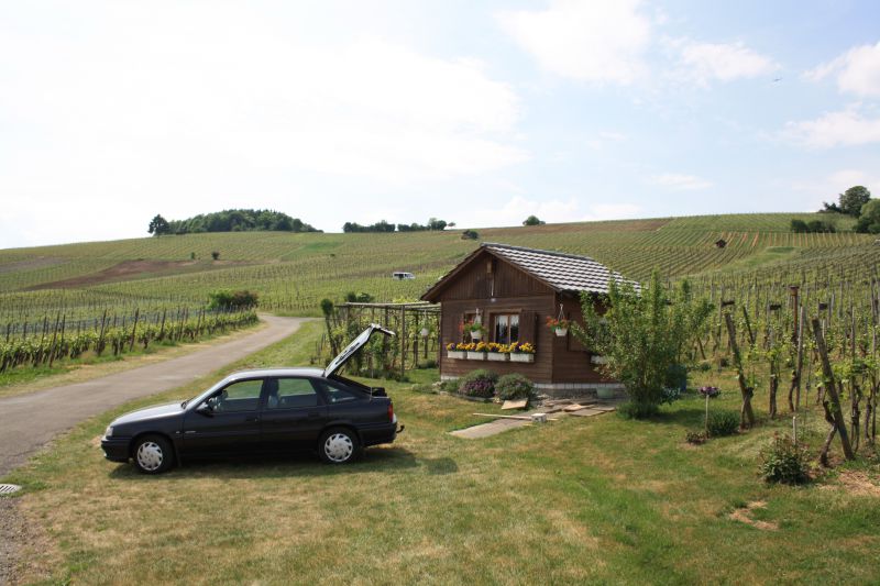 Opel – Vectra A CC (facelift 1992) – 2.0i 16V (150 Hp) 4×4 – Teknik Özellikler