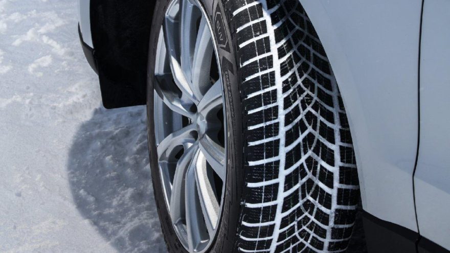 Goodyear’a bir birincilik daha