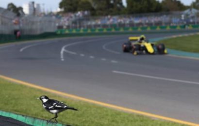 2019 F1 Australian GP: FP2 as it happened