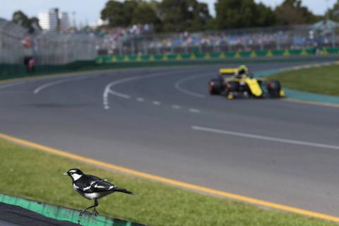 2019 F1 Australian GP: FP2 as it happened