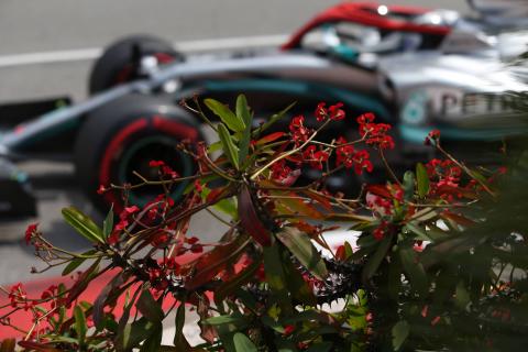 2019 F1 Monaco GP: Race Day as it happened! 2019 F1 Monaco GP: Race Day as it happened!