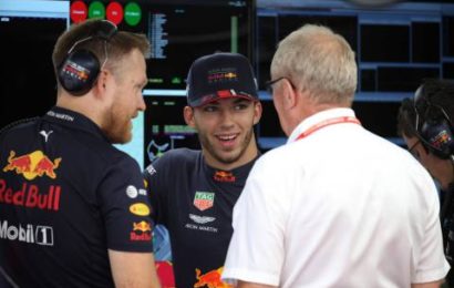 Gasly: It’s coming together, everything fine with Red Bull