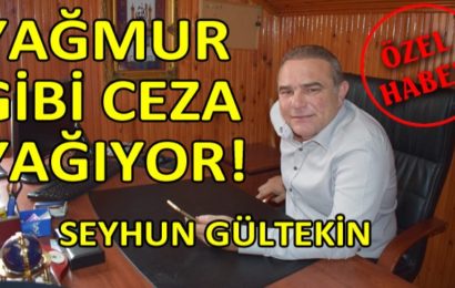 HGS Denetimlerinin Yeniden Düzenlenmesi Gerekiyor”