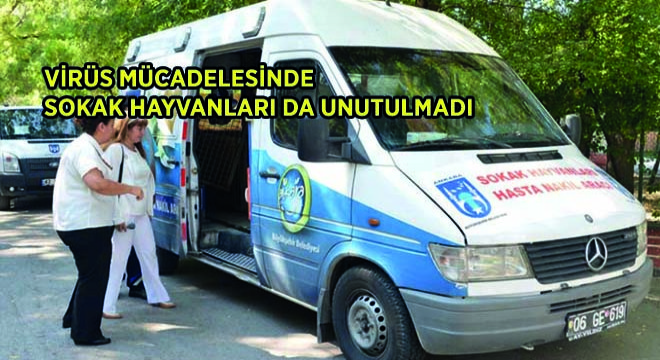 Virüs Mücadelesinde Sokak Hayvanları da Unutulmadı