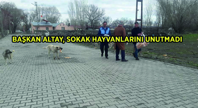 Başkan Altay, Sokak Hayvanlarını Unutmadı