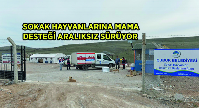 Sokak Hayvanlarına Mama Desteği Aralıksız Sürüyor