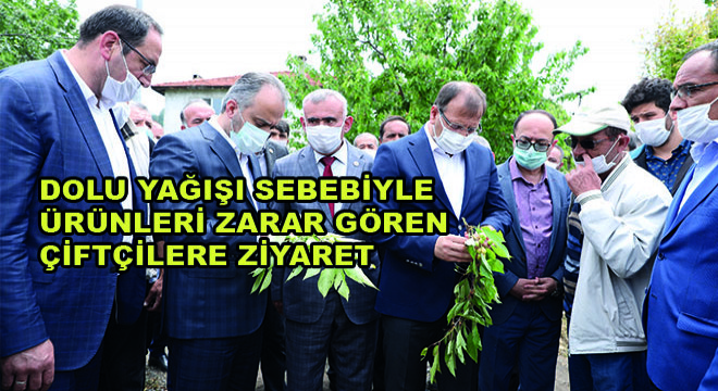 Dolu Yağışı Sebebiyle Ürünleri Zarar Gören Çiftçiler Ziyaret Edildi