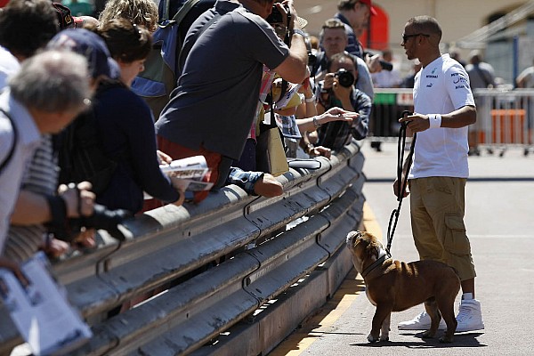 Hamilton’ın köpeği Coco hayatını kaybetti