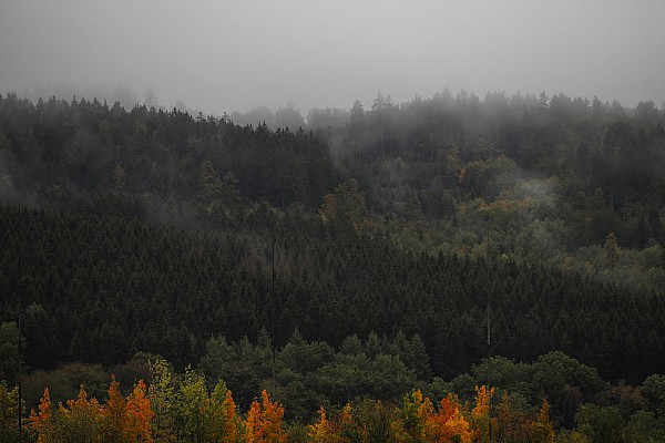 Eifel Yarış 1. antrenman seansı iptal edildi!