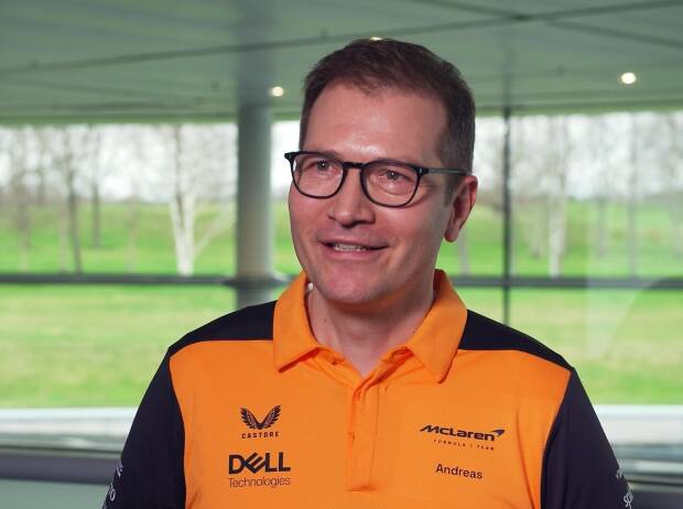 McLaren-Teamchef: Austausch zwischen Herstellern und B-Teams Fall für die FIA