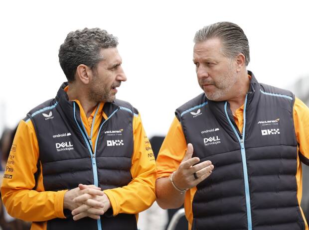 Lob für McLaren-Teamchef Andrea Stella: “Der Kerl ist fantastisch”