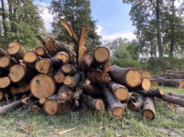 Mutter Natur ohne Gnade: So hart hat der Sturm Monza wirklich getroffen