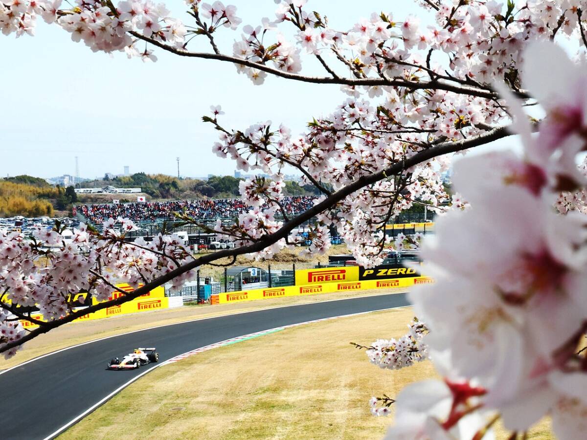 Nach Platztausch: Lawson im Suzuka-Qualifying schneller als Tsunoda