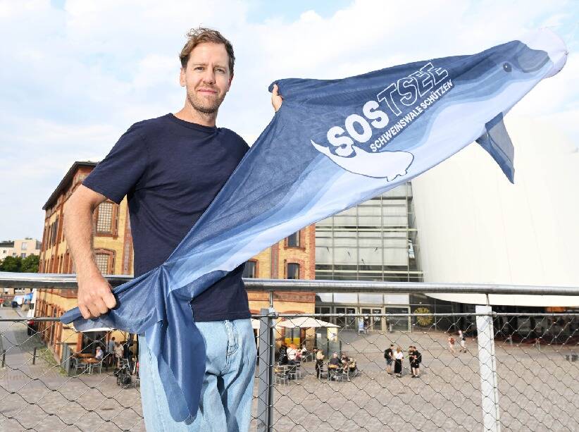 Sebastian Vettel und der Schweinswal in Stralsund