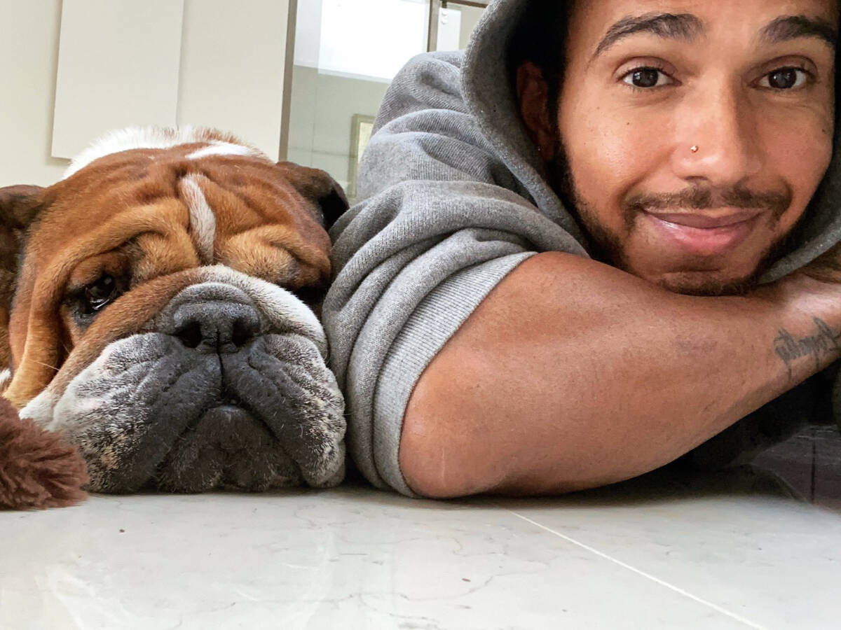 “Mein bester Freund”: Hamiltons Hund Roscoe ist gestorben