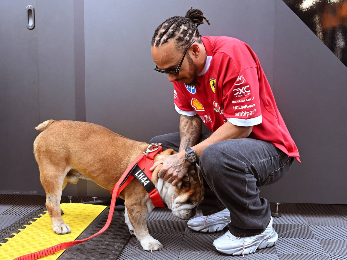 “Beängstigende Stunden”: Hamilton sorgt sich um Gesundheitszustand von Roscoe