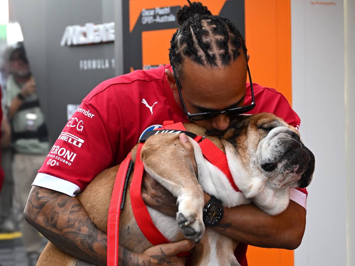 Hamilton habe mit Roscoe gelernt, “was bedingungslose Liebe bedeutet”