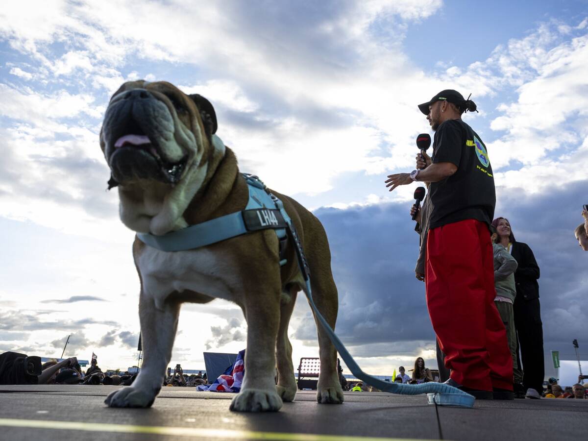 Todestag: Lewis Hamilton ehrt Hund Roscoe mit rührender Hommage Todestag: Lewis Hamilton ehrt Hund Roscoe mit rührender Hommage